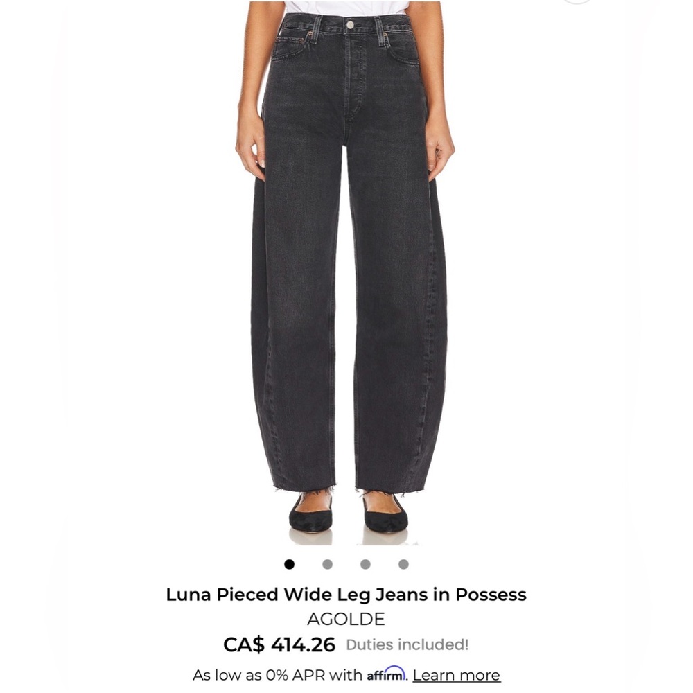 AGOLDE Luna Pieced Wide Leg Jeans in Possess - size 24
